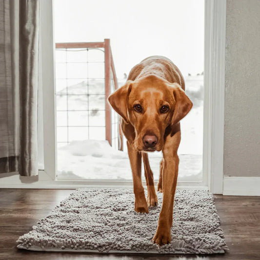 🐾 No more dirty paw prints in the house! 🏡✨ | The ultimate mat for clean paws! 🚀🐶